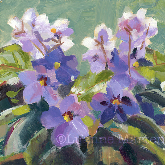 Anna's Violets oil painting featuring purple African violets with soft lighting on petals, 6x6 inches by Luanne Marten