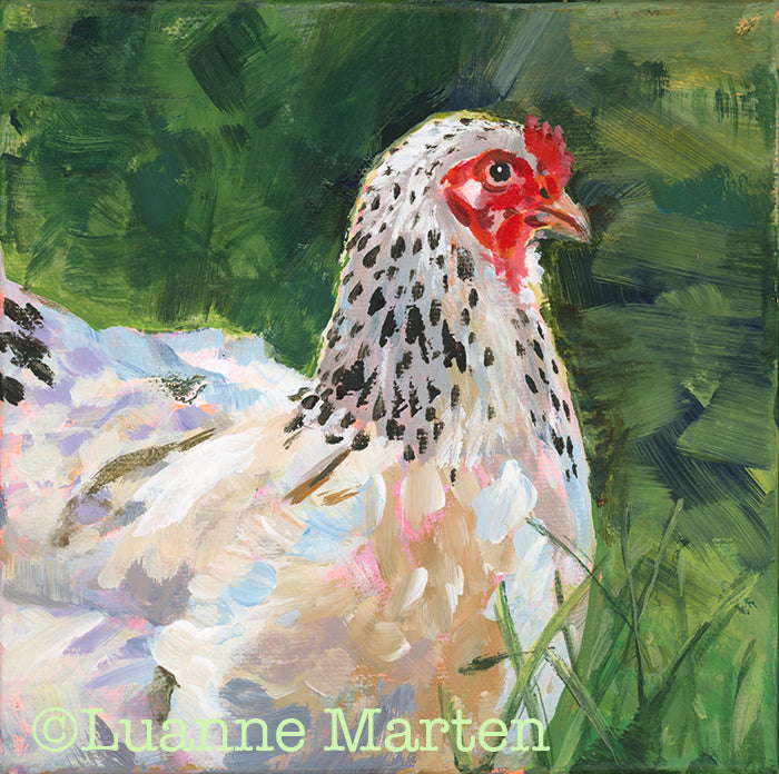 ‘The Bold Mrs’, spotted hen acrylic painting by Luanne Marten - impressionist art featuring a confident hen with white feathers highlighted in blue, lavender and tan pastels on 6x6 gallery wrapped canvas.