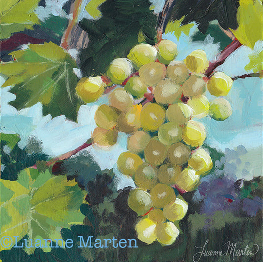 Vibrant green grapes painting inspired by Cinque Terre vineyards - original acrylic artwork by Luanne Marten on 6.75x6.75 hardboard panel