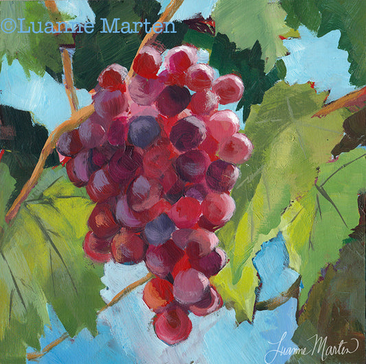‘Vintage Reds' grapes painting inspired by Cinque Terre vineyards - original acrylic artwork by Luanne Marten on 7x7 inches hardboard panel