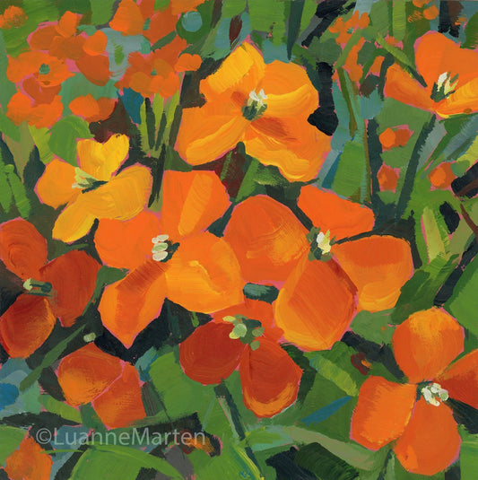 Wallflower's Revenge original acrylic painting 6x6 inches vibrant orange floral art by Luanne Marten